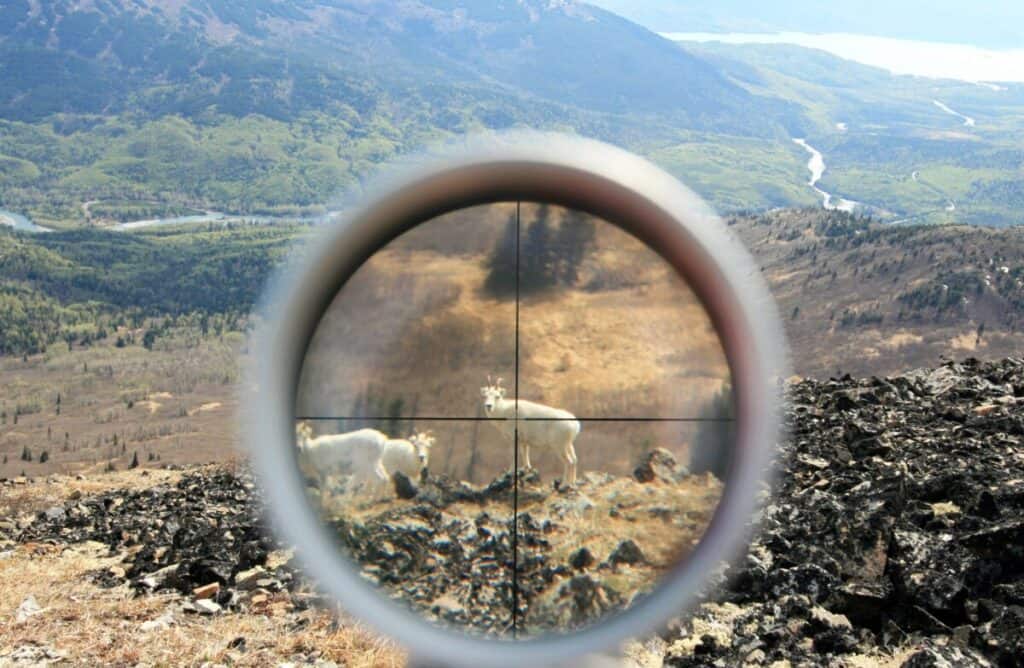 Selecting the Perfect Reticle for a Hunting Scope Backfire