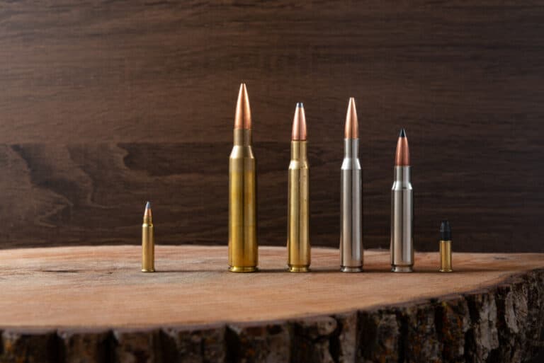 Can Rifles Shoot Different Calibers of Bullets?