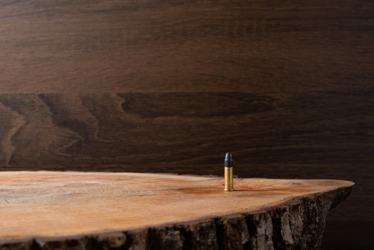 7 Most Popular Handgun Cartridges: Pros and cons – Backfire