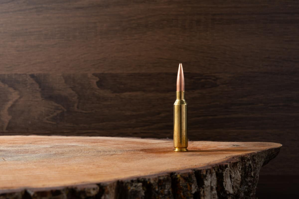 6.5 CREEDMOOR 2 6.5 Creedmoor: Is it REALLY enough for hunting bull elk?