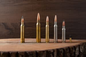 What Rifle Does Steven Rinella Shoot? – Backfire