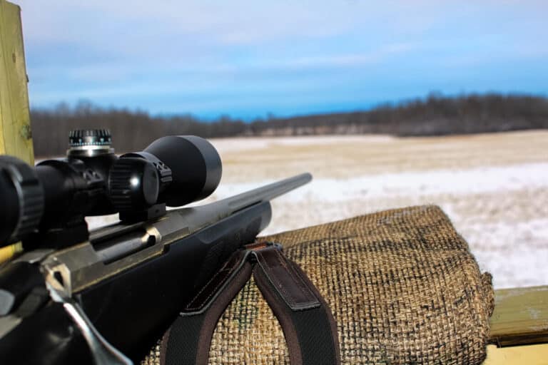The Best Long-Range Hunting Cartridges On the Market
