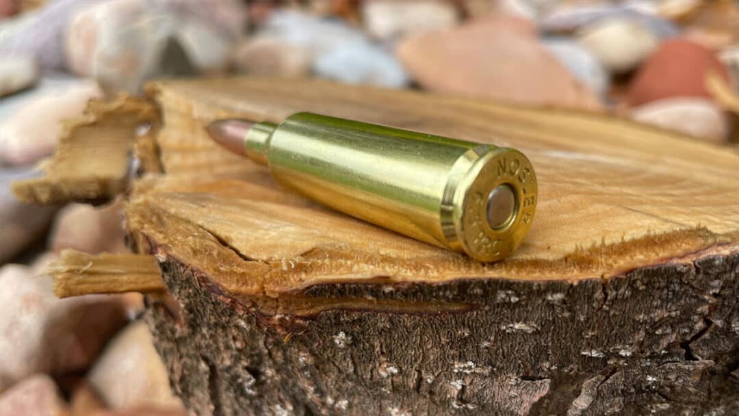 The 6.5 PRC: Complete Cartridge Profile and Ballistic Data – Backfire