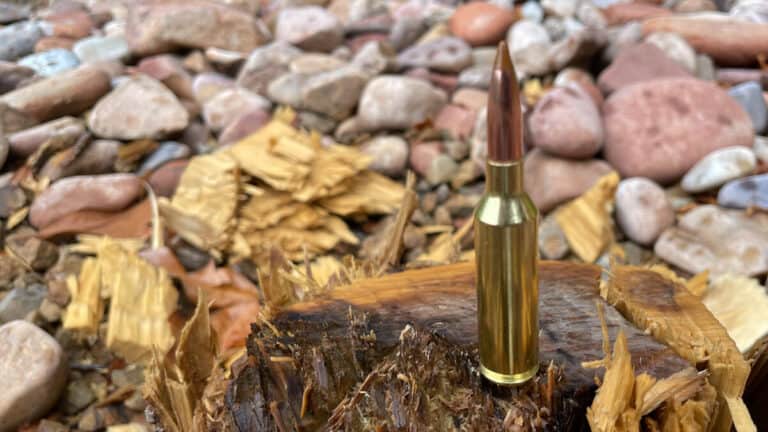 The 6.5 PRC: Complete Cartridge Profile and Ballistic Data – Backfire