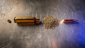 All of the components of a rifle cartridge: a primer, the case, the gun powder, and a bullet.