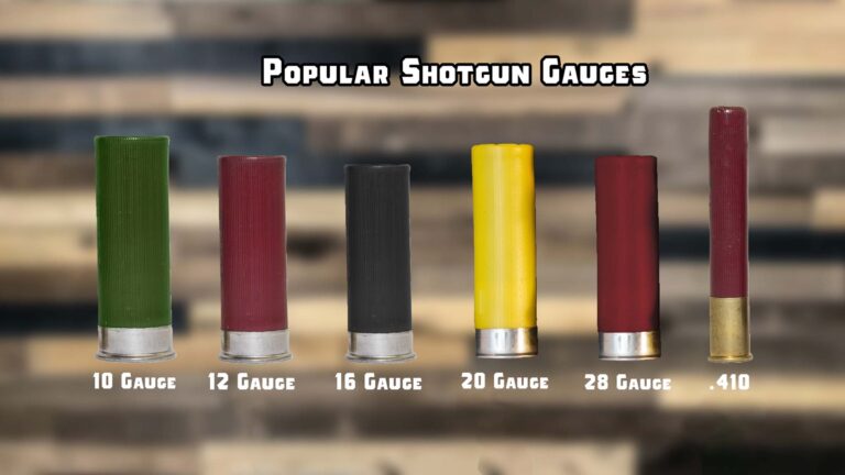 Shotgun Recoil Table: 12-gauge vs 20-gauge vs .410
