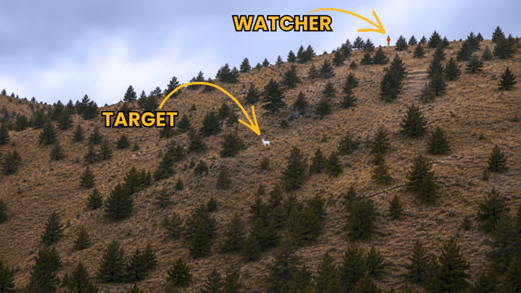 Watcher On The Mountain Challenge